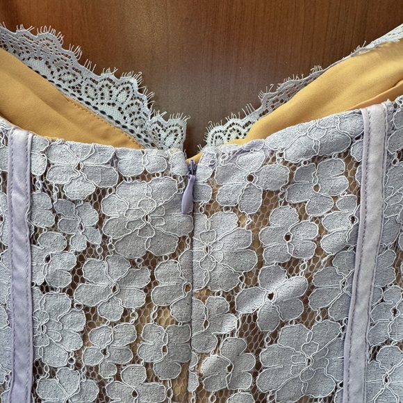 New Nasty Gal Lace Mini Dress Lavender Nude Lining Size 12 New With Tags Pirple - Picture 7 of 15